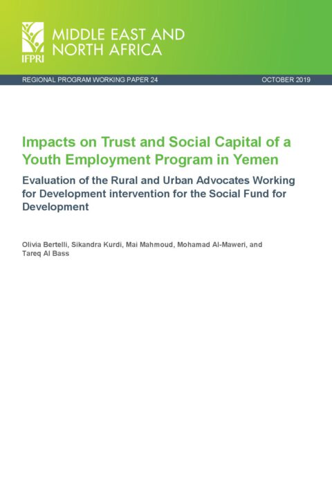 Impacts on trust and social capital of a youth employment program in Yemen