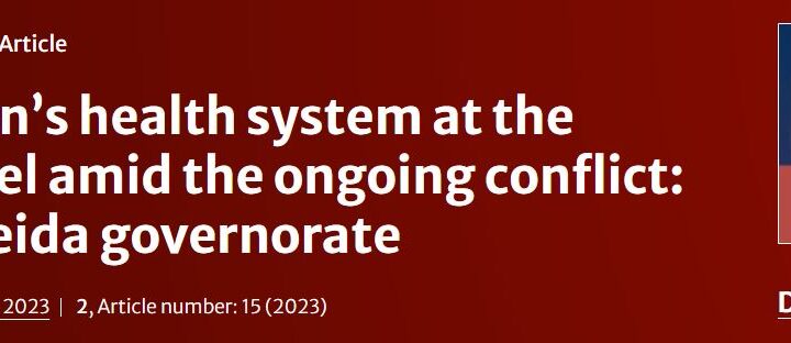 Analyzing Yemen’s health system at the governorate level amid the ongoing conflict: a case of Al Hodeida governorate